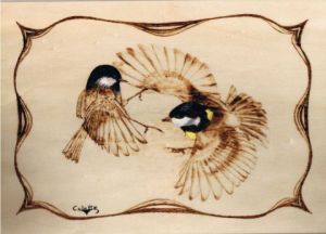 Oeuvre de Colette Bohrer: Chamaillerie d'oiseaux
