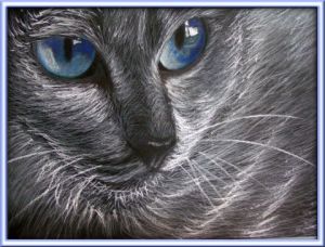 Dessin de Mamar: Chat aux yeux bleu