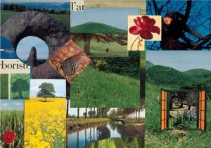 Collage de Francois Geal: L'arboriste