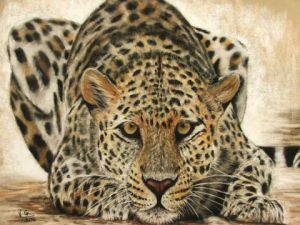 Dessin de Valerie GRISOTTO: léopard