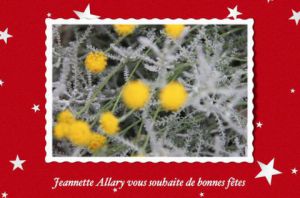 Oeuvre de Jeannette ALLARY: BONNES FETES