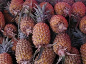 Photo de natacha: ananart