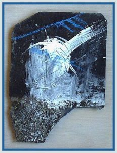 Oeuvre de AnimalDan: Serie Noire 