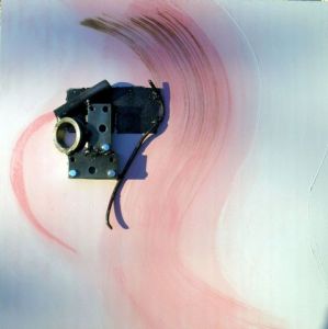 Oeuvre de anny aguiar: la vie en rose