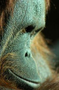 Photo de raymond jose: regard regardez-moi