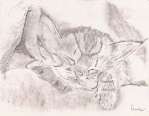 Dessin de paradisianna: Chaton