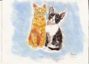 Dessin de paradisianna: chat