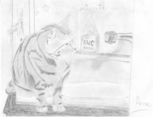 Dessin de paradisianna: Chipie