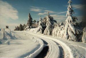 Photo de rose: NEIGE A LA CAMPAGNE