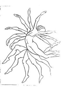 Oeuvre de wild: Mouvement