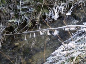 Photo de olympia: Queue de gouttes froides