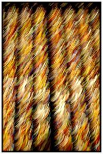 Photo de Dominique Lefevre: La danse du vitrail