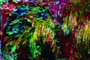 Oeuvre de didon: jus de fruit