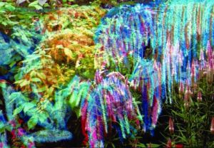 Oeuvre de didon: jus de glace