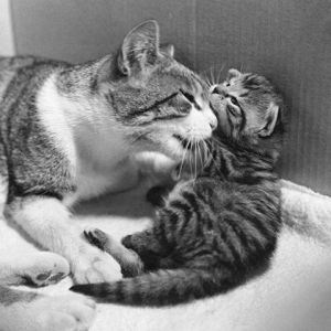 Photo de JYHEL: TENDRESSE