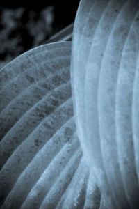 Photo de jean-francois dupuis: Bleu