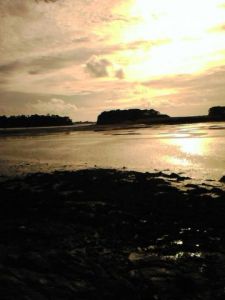 Photo de Jocelyn Forveille: Les 7 iles 2 golf du Morbihan