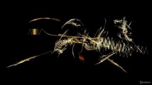 Art_numerique de Yorizen: Woodbird 01