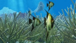 Art_numerique de Cactus42: fonds marins_1