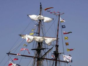 Photo de JYHEL: HUNIER ET PERROQUET