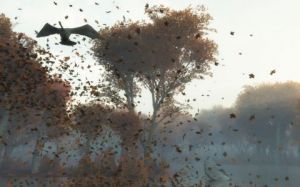 Art_numerique de Cactus42: Automne_1