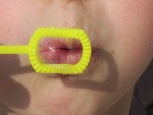 Photo de coccinelle: chrystal