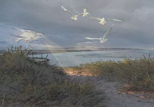 Art_numerique de Alexei: Baie d' Authie