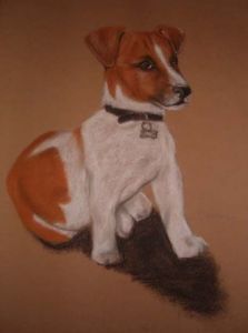 Dessin de atanchon: cabo 2