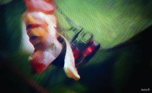 Art_numerique de nasch: le personnifier