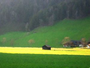 Art_numerique de Haslavsky: Paysage