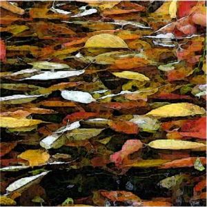 Art_numerique de DAL: Tapis d'Octobre