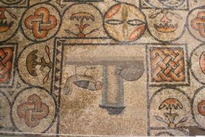 Photo de Marise Laget: oiseau a l'envers