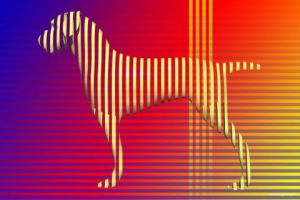 Art_numerique de Frantz: OP-1032 RougeDog (5 ex)