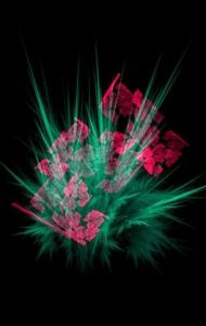 Art_numerique de FERIALE BABA AISSA