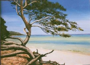 Peinture de ninie: plage salecci corse