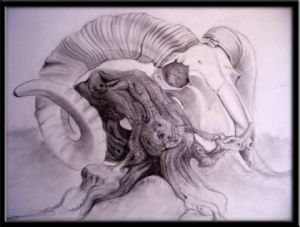 Dessin de Mamar: Crane et racine