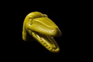 Photo de Elyan Vadel-Costa: Bicodocus