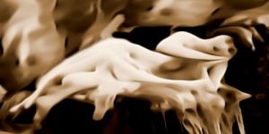 Art_numerique de bernard alcaraz: nu couché