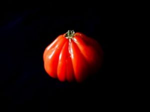 Art_numerique de Anne: LA BELLE ROUGE