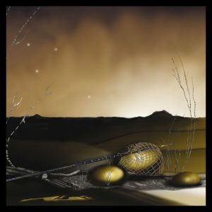 Art_numerique de Renee BRACHET: Empreintes