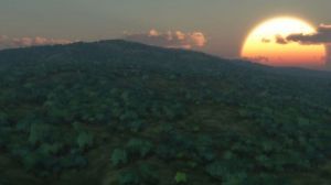 Art_numerique de Cactus42: Sentiments