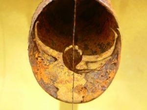 Photo de mena chareyre : retour à l'état sauvage