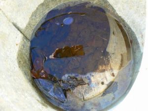 Photo de mena chareyre : bulle d'azur