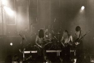 Photo de alicek: banana splotch 03