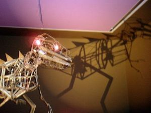 Photo de volontaire: T.REX et son ombre