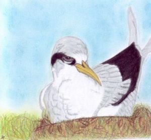 Oeuvre de Chtipat: Paille en queue