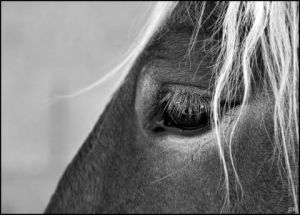 Photo de gil: Avant le départ