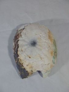 Sculpture de Violaine Chatre-Belle: Primitive