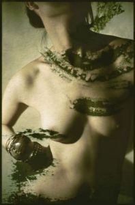 Photo de Jean Marc  Clairet: Peau de neige 