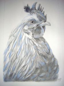 Dessin de mng: le prince bleu